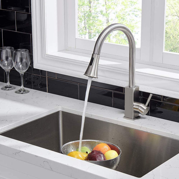 Hotis Pull Out Kitchen Faucet Wayfair